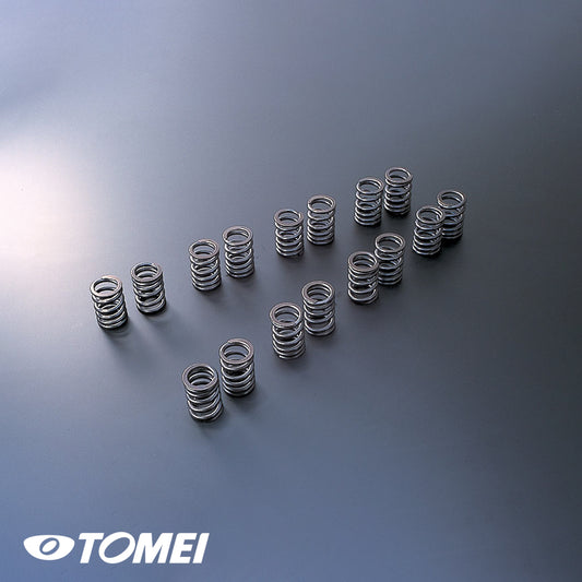 High Performance Valve Spring Set (Nissan SR20DE/DET)