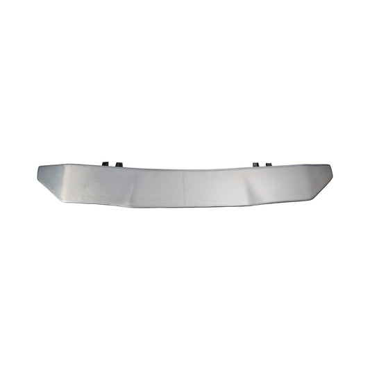 [Silver Carbon] Eagle GT Wing (1570mm)